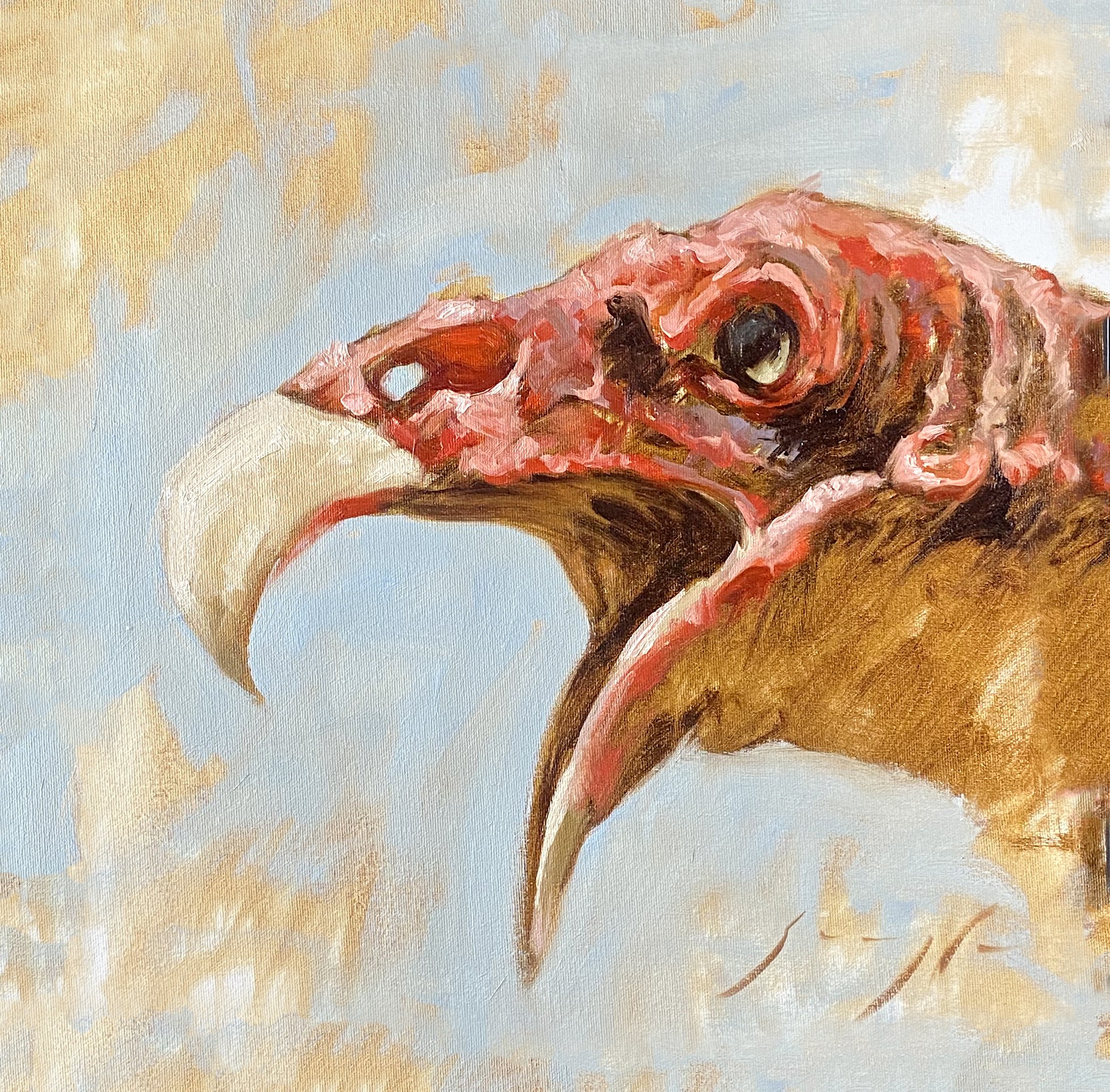 A buzzard with it's mouth and beak open wide