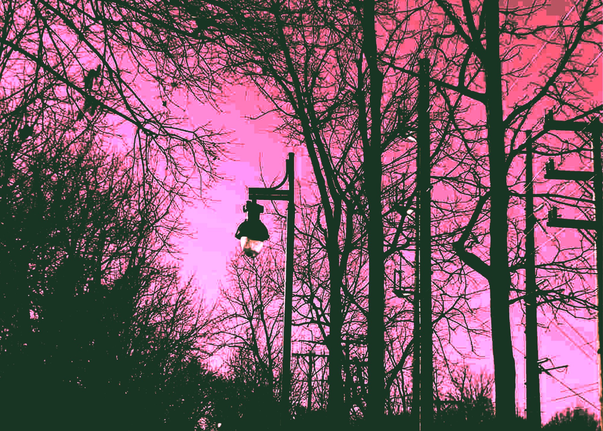 A photo I took + edited