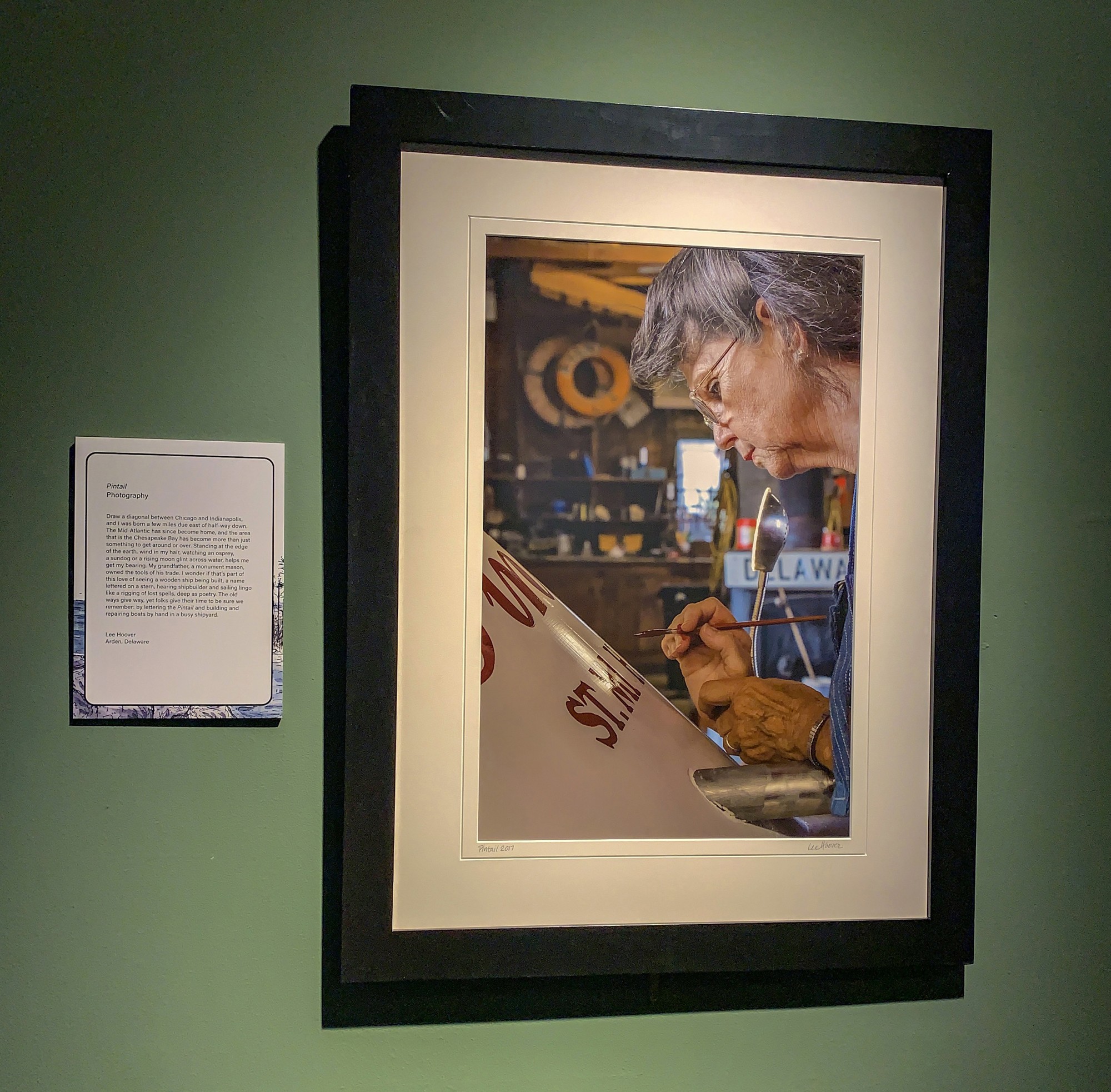 Framed image Pintail is on display in the Changing Chesapeake exhibition