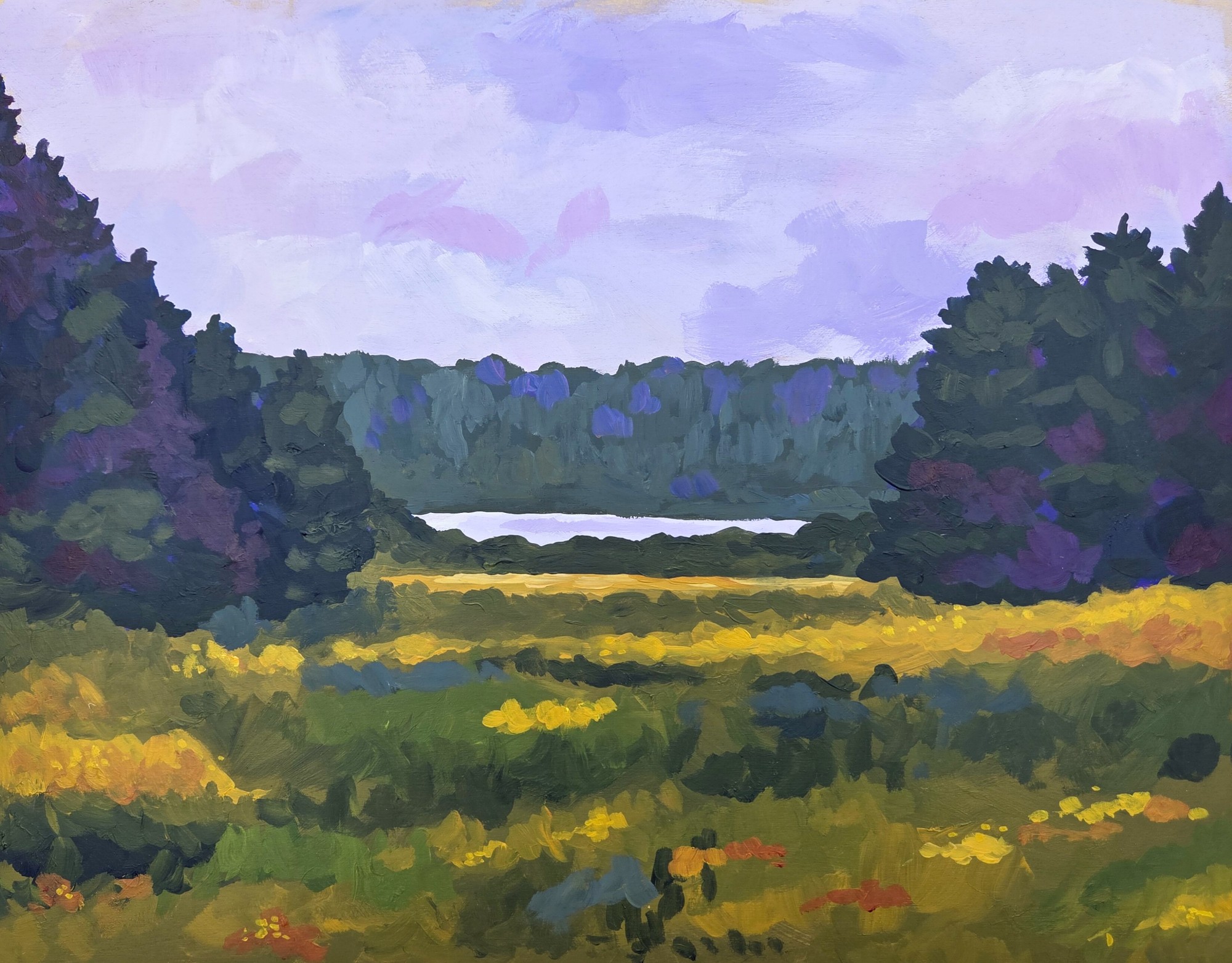 A darker cloudy day along a meadow with a lake tucked behind dark green trees.