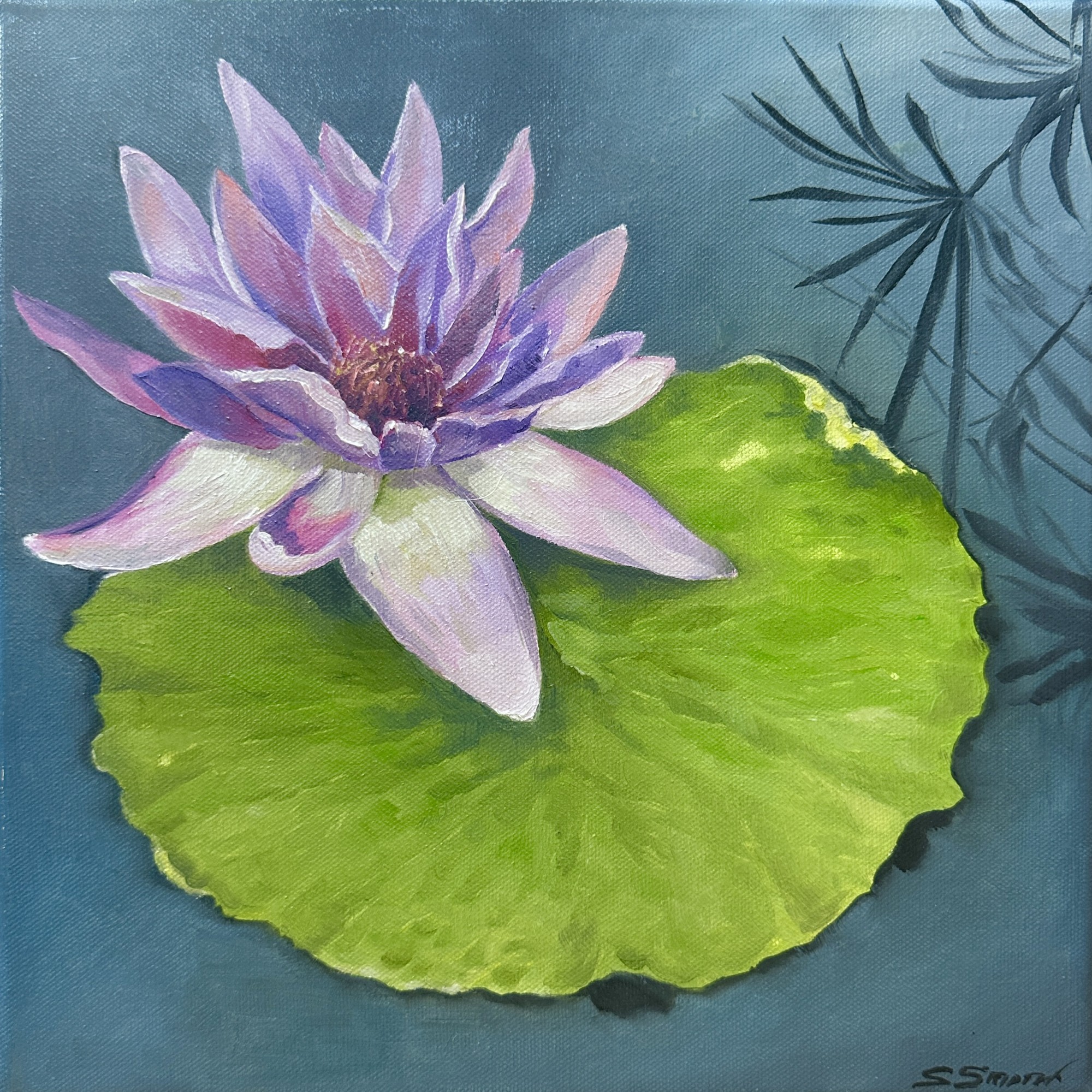 Waterlily, Oil on Canvas, 12"x12", framed