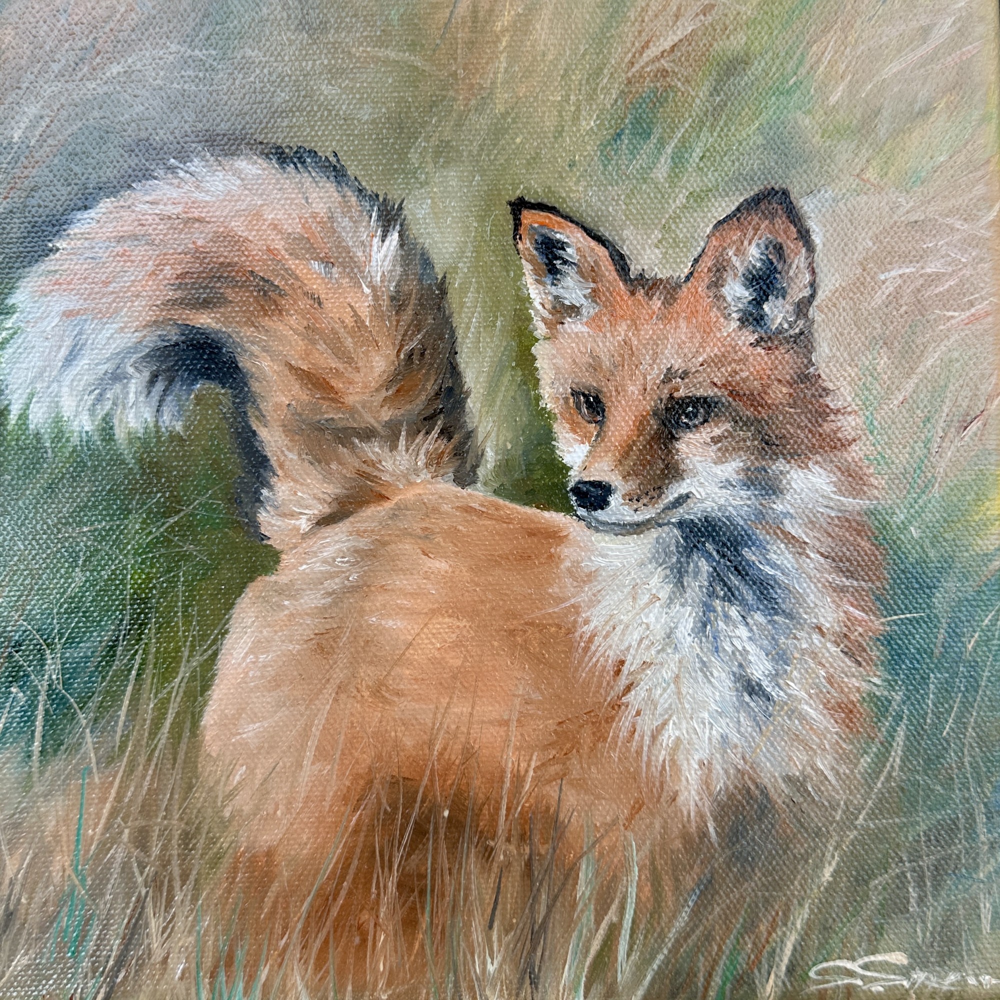 Fox, Oil on Canvas, 8"x8", framed
