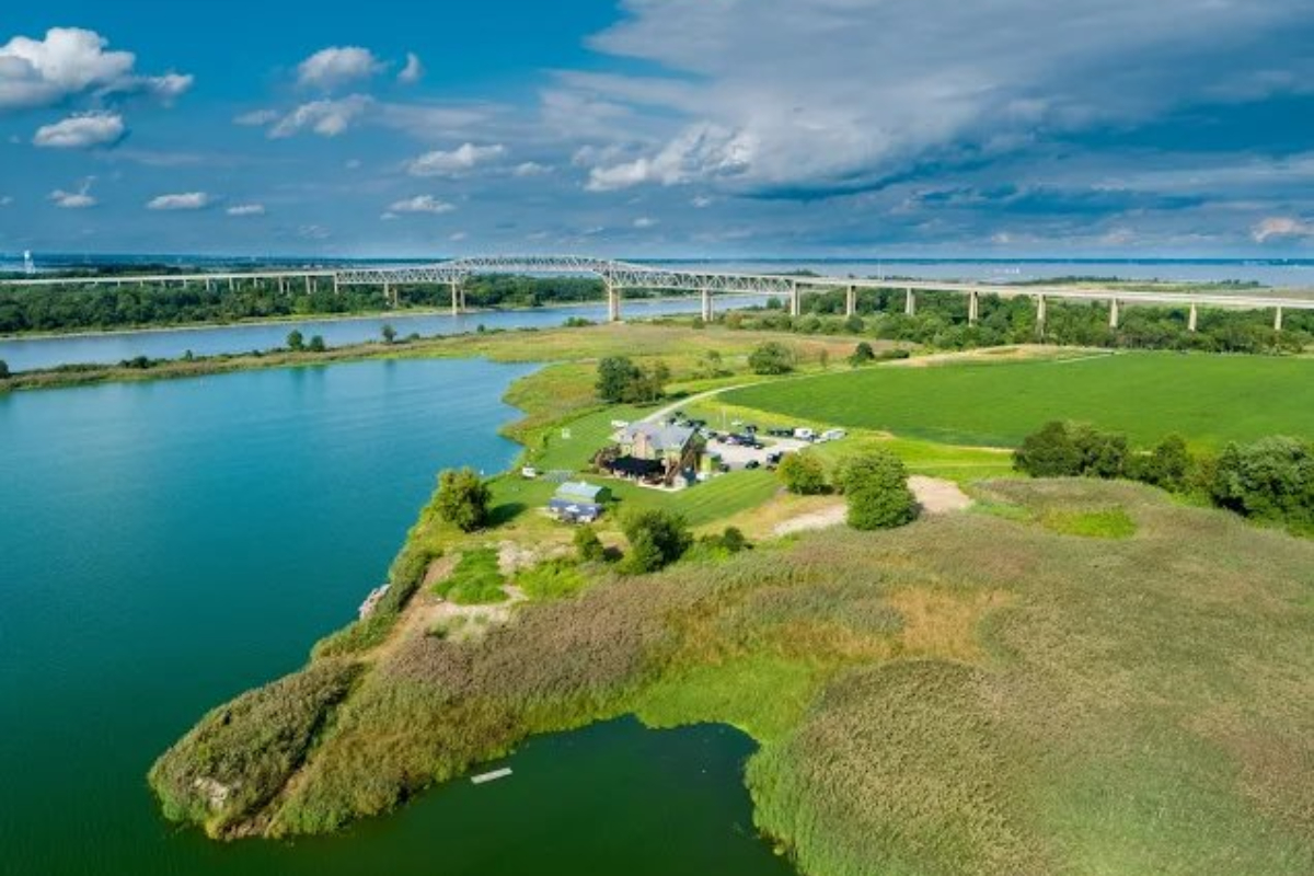 DelawareScene Thousand Acre Farm, Middletown, DE